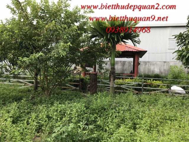 Bán nhà vườn Long Thuận, Long Phước
