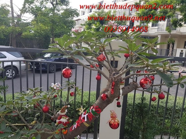 BIỆT THỰ LAKEVIEW CĂN GÓC ĐẸP VỊ TRÍ HIẾM BIỆT THỰ LAKEVIEW CĂN GÓC ĐẸP VỊ TRÍ HIẾM